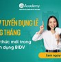 Bidv Tuyển Dụng Thực Tập Sinh 2025