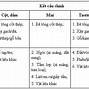 Cấp Độ Bão Của Mỹ