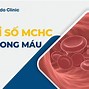 Kết Quả Mchc Là Gì