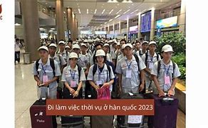 Lao Động Thời Vụ Hàn Quóc 2024 Tphcm قیمت بلیط