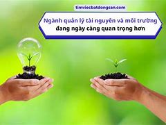 Ngành Quản Lý Tài Nguyên Và Môi Trường Là Gì