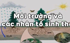 Sinh 9 Môi Trường Là Gì